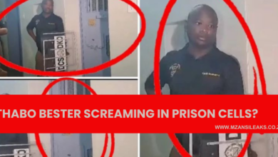 Screams were heard coming from Thabo Bester's prison cell