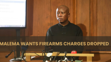 Julius Malema and Bodyguard Await Verdict in Public Firearm Discharge Case